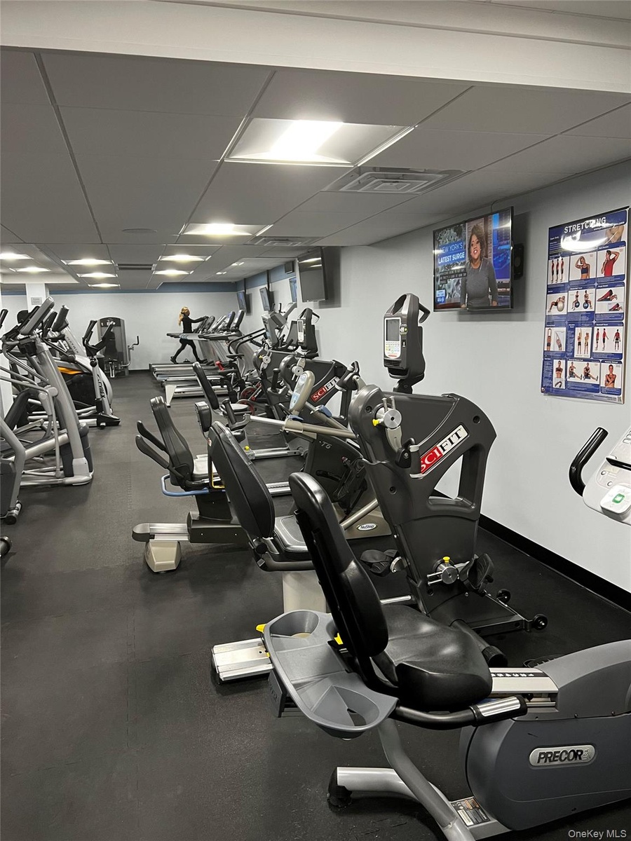 Fabulous gym.