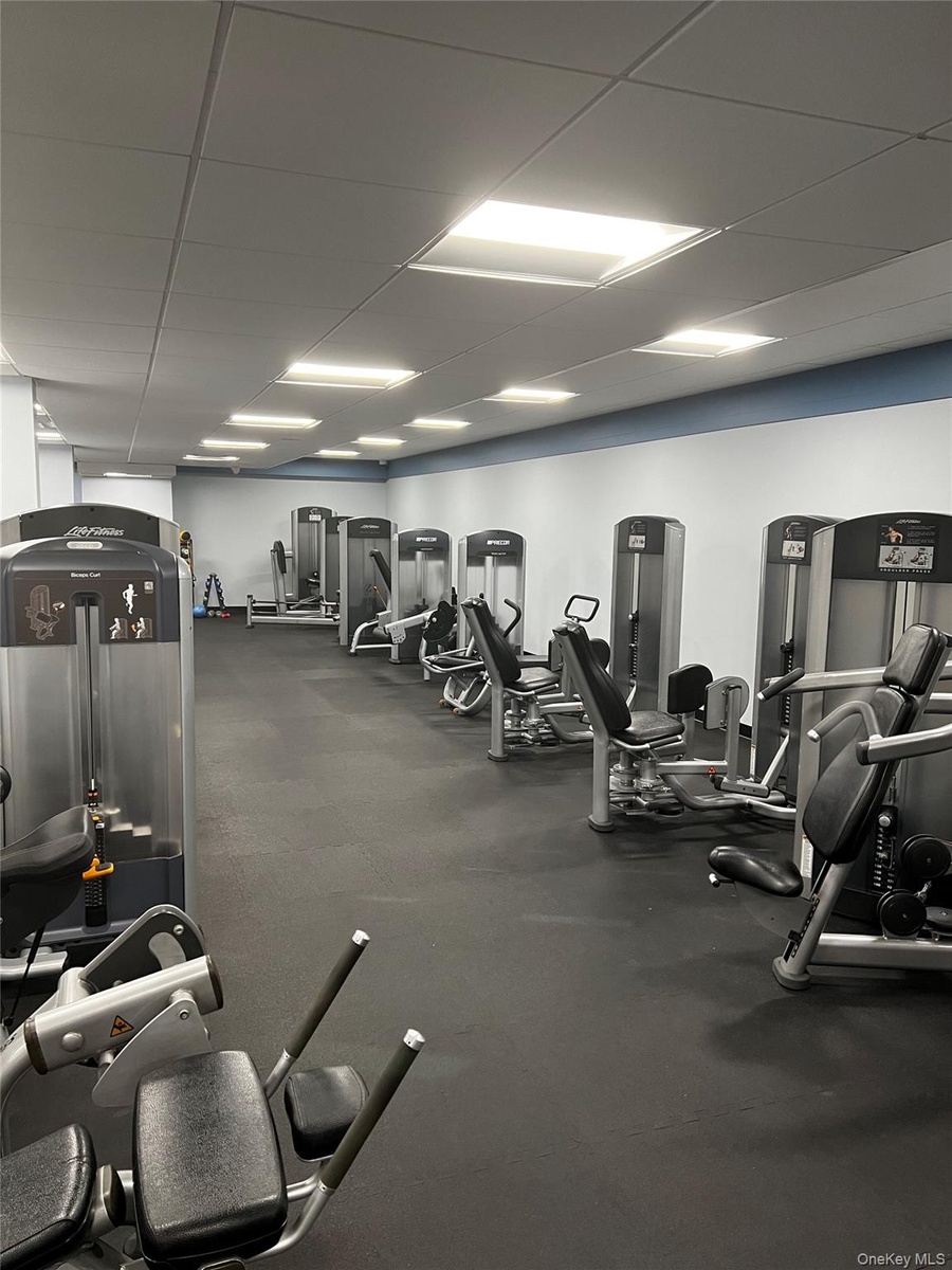 Fabulous gym