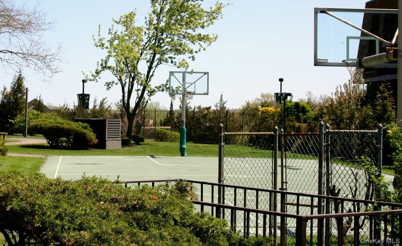 Outdoor basketball court.