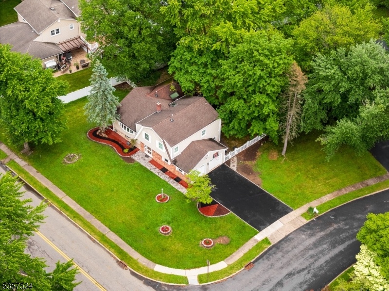 Drone view