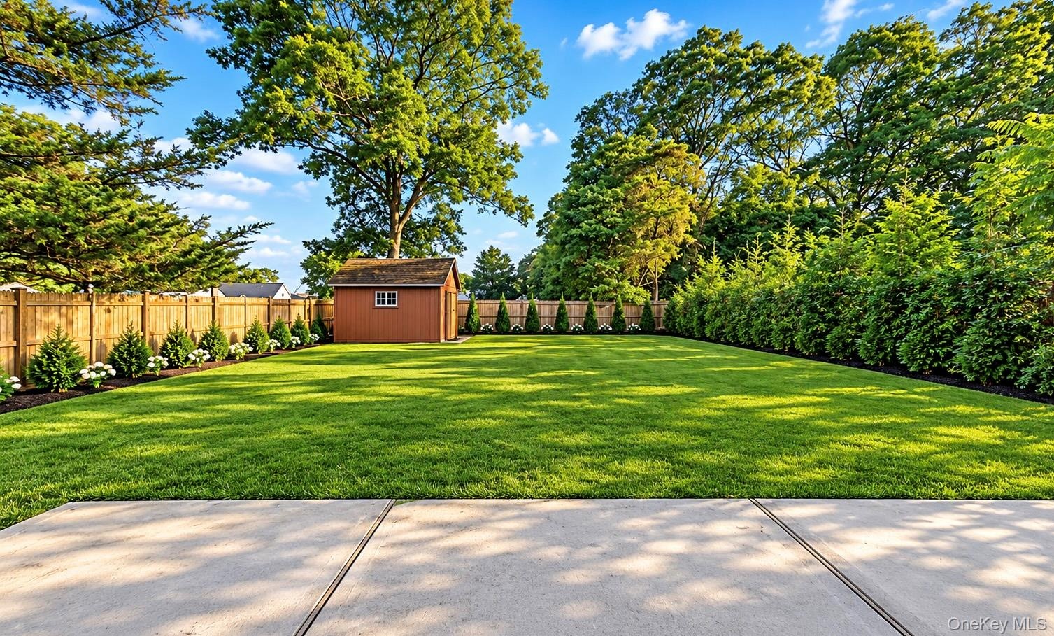 Expansive backyard featuring a concrete patio, manicured lawn, detached storage shed, perimeter wood fencing, and mature evergreen privacy hedging