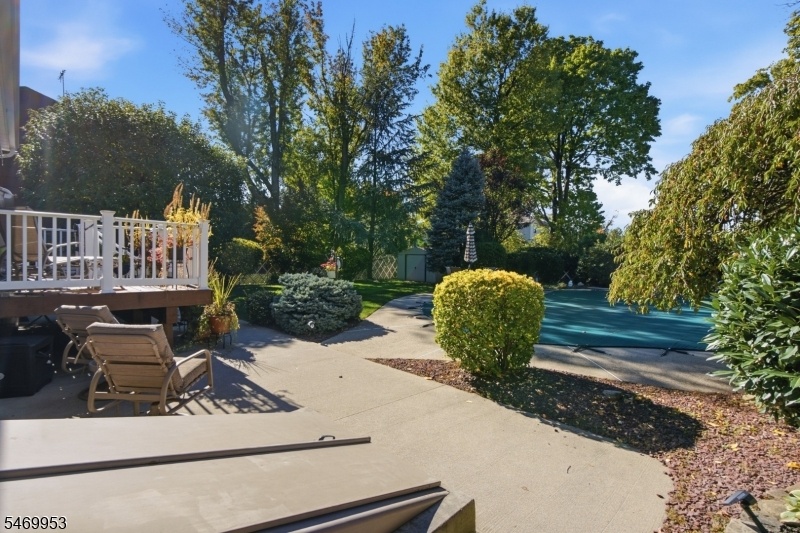 Backyard & Patio