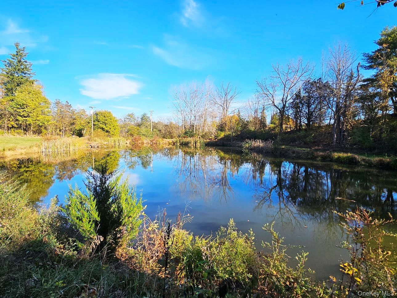 Private Pond