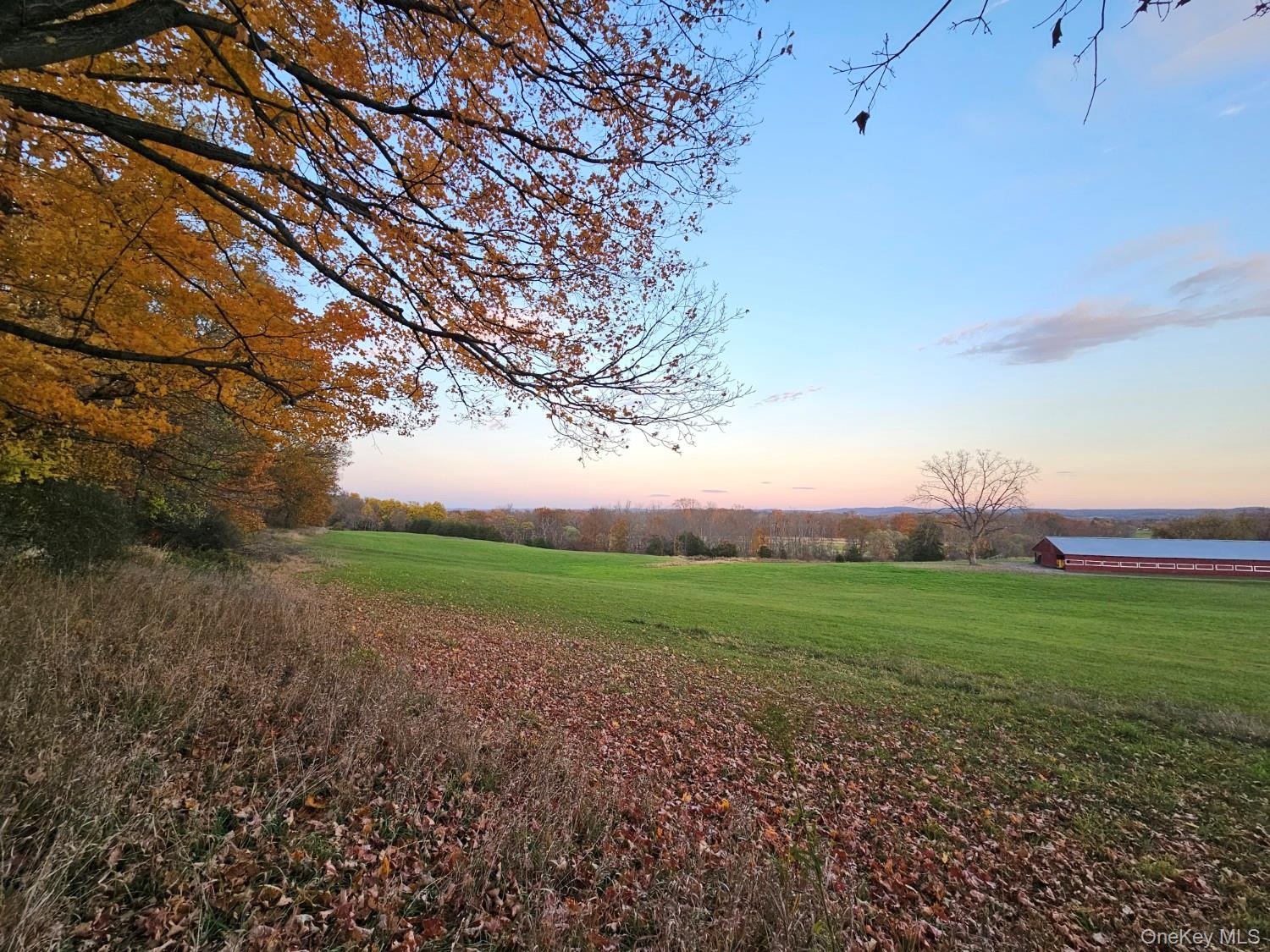 Side Field