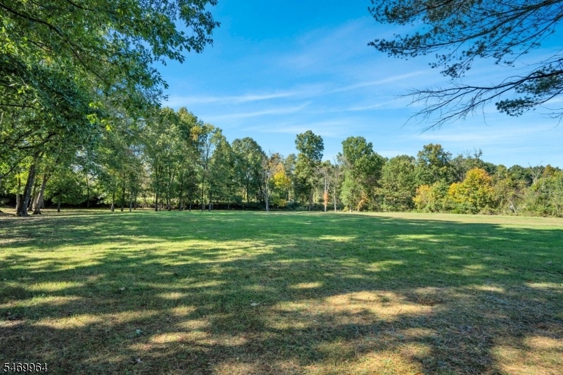 yard7