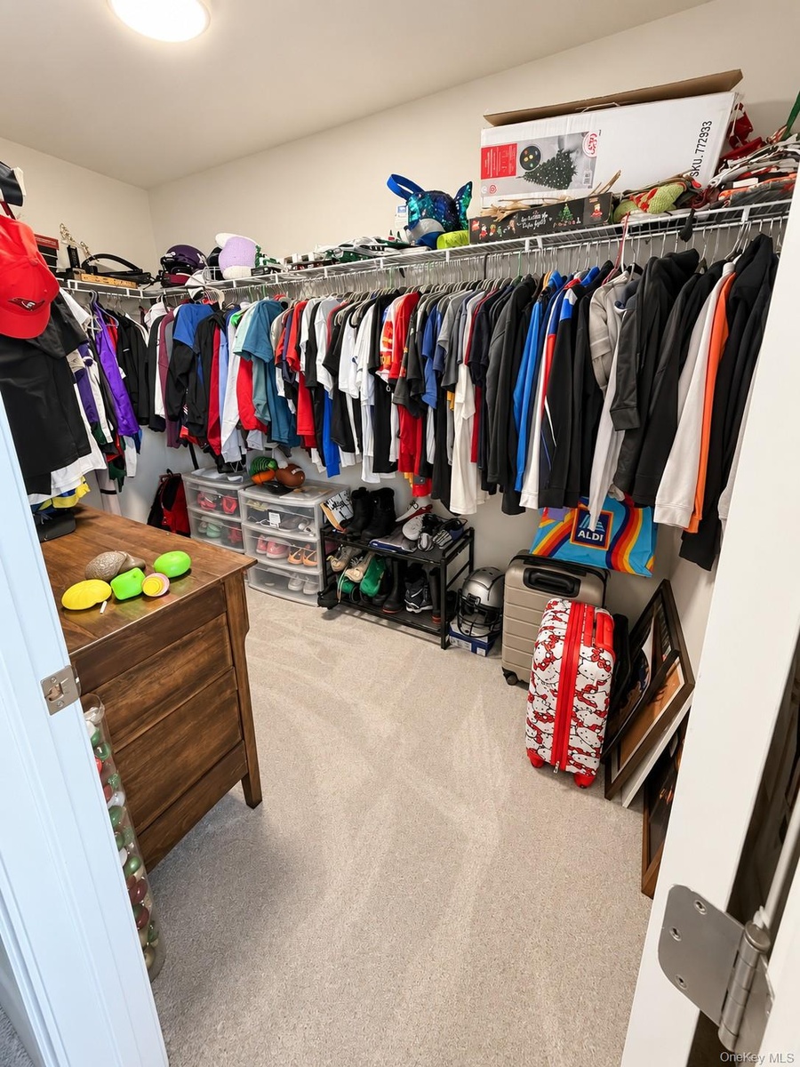 princess suite closet