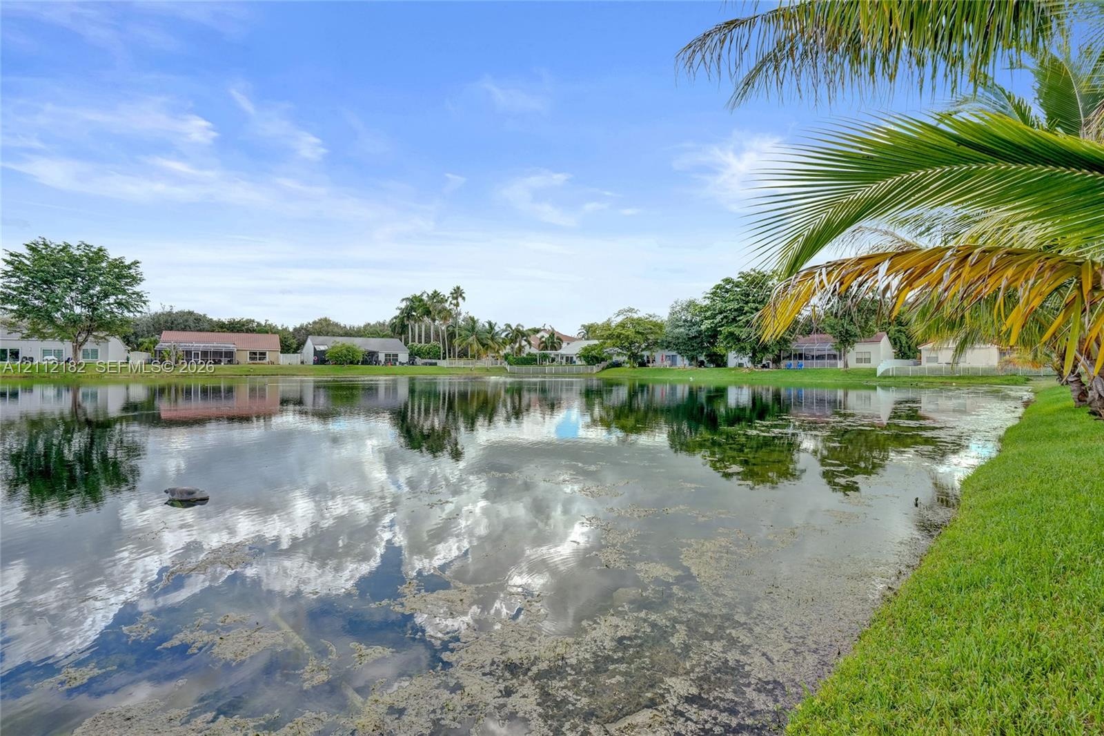 Waterfront property featuring a pond, manicured lawn, and mature palm trees