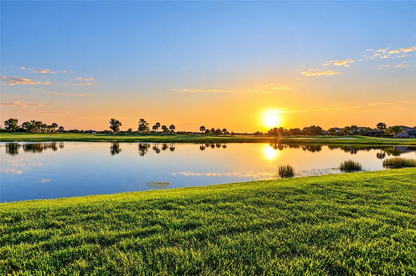 Sunset View