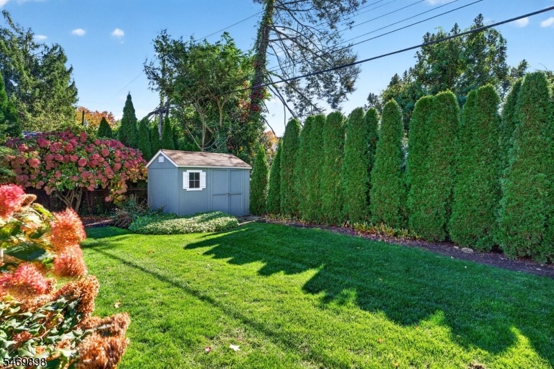 yard