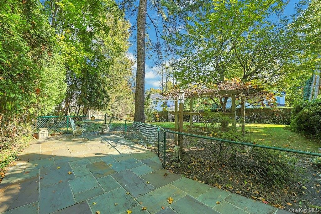 Fenced area, perfect for dogs