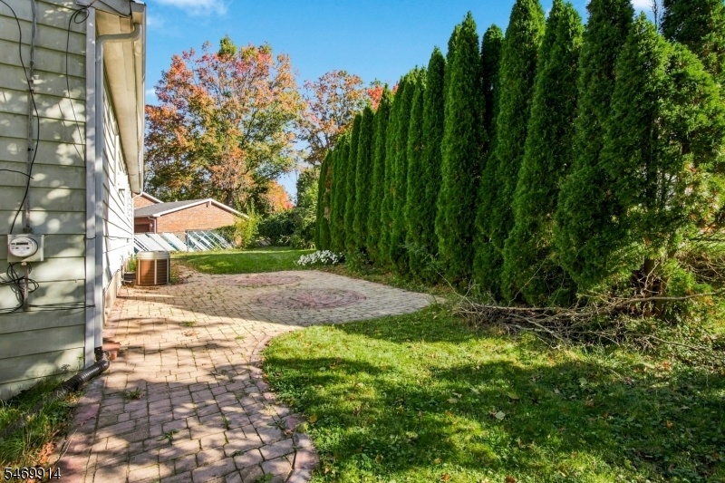 Back Patio