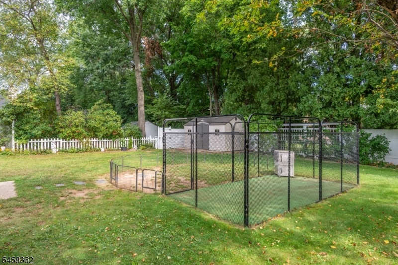 dog run