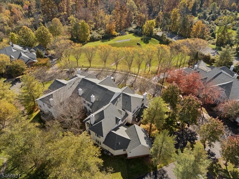 Aerial View Property Back