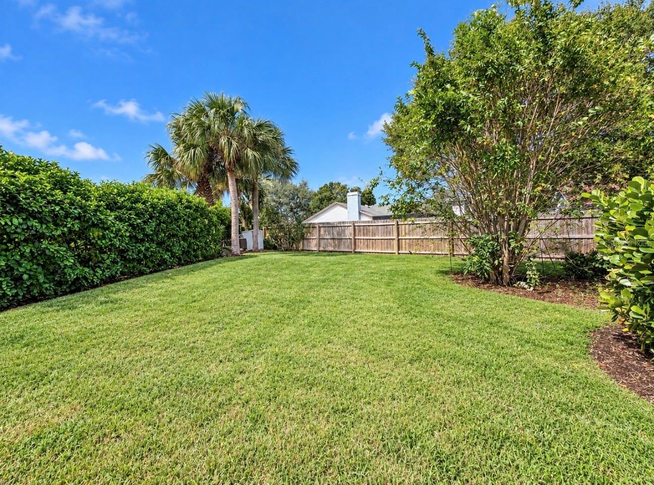 extremely large backyard