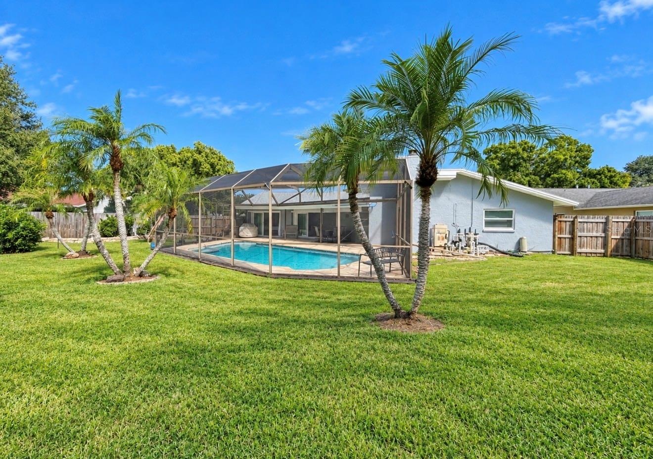 Large backyard behind pool