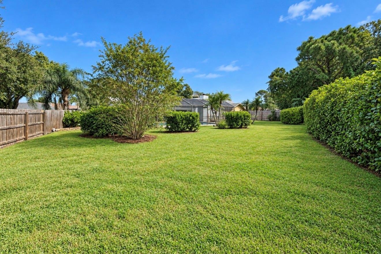 extremely large backyard