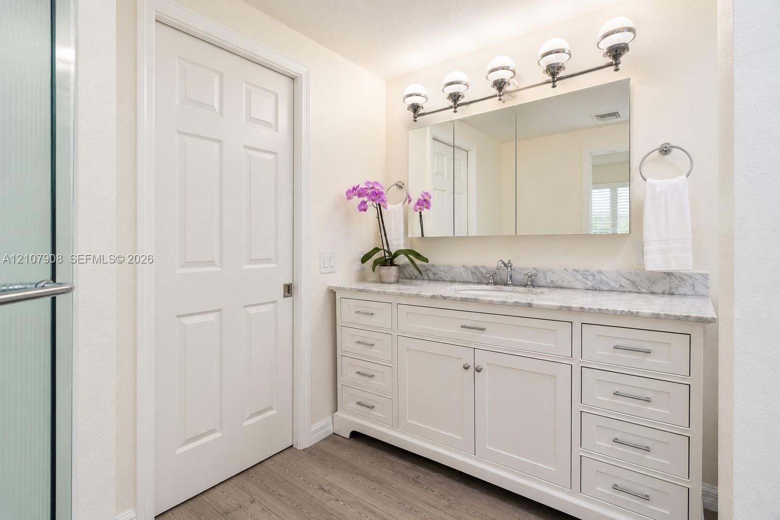 White shaker-style cabinetry vanity with a stone countertop, undermount sink, multi-bulb overhead lighting, and wood-finish flooring