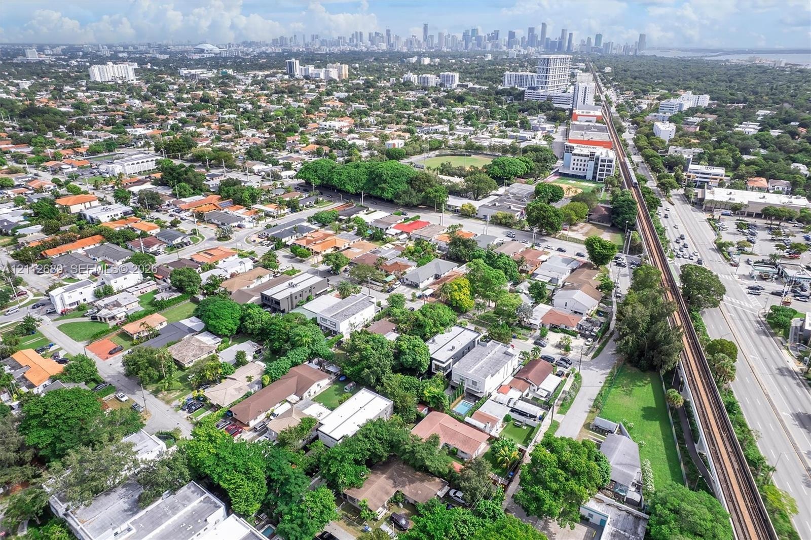 Aerial perspective featuring a dense canopy of mature trees, expansive urban infrastructure, and distant cityscape skyline