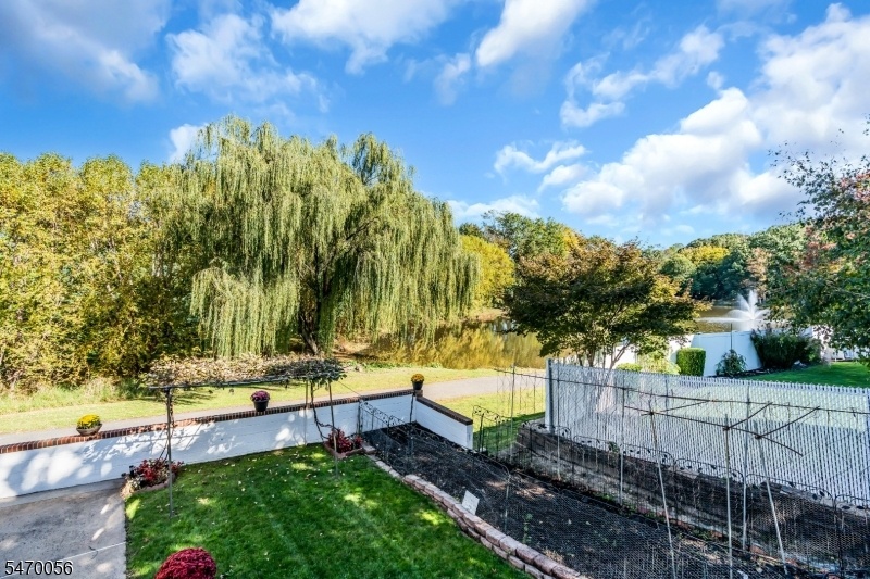 Deck View