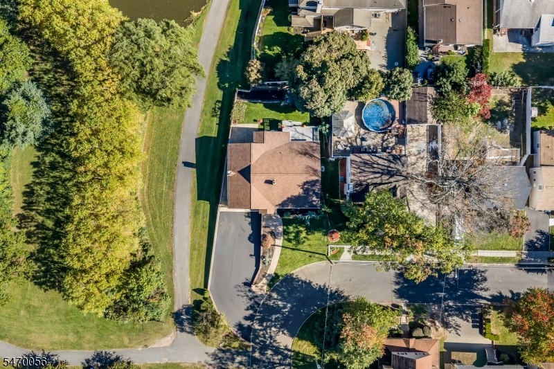 Overhead View