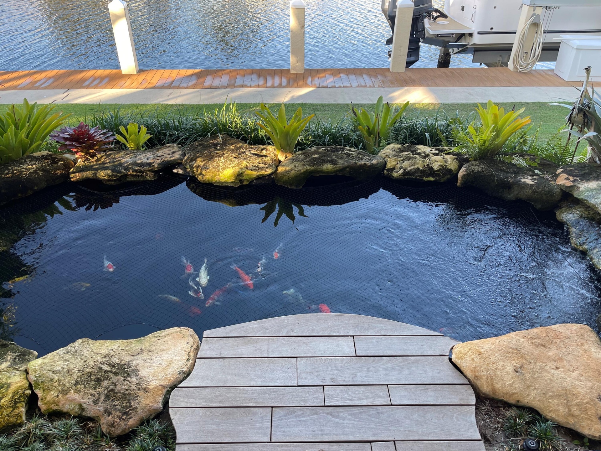 Koi pond and waterfall