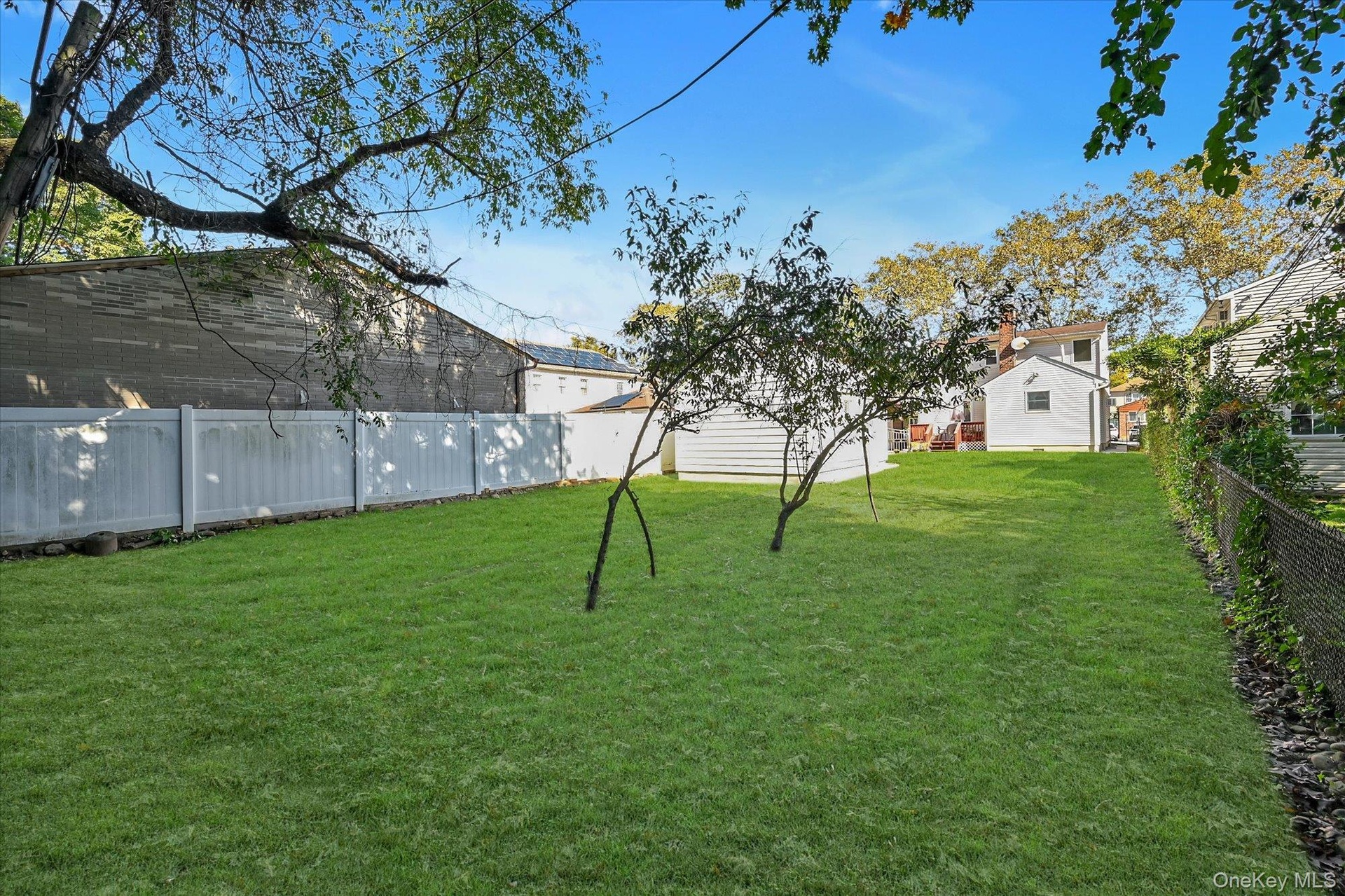 Oversize Park-like Backyard