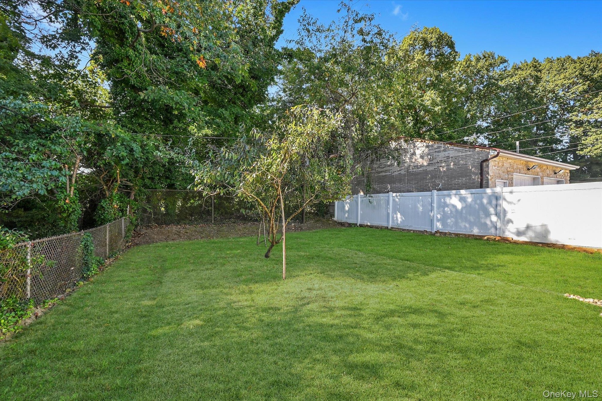 Park-like Backyard