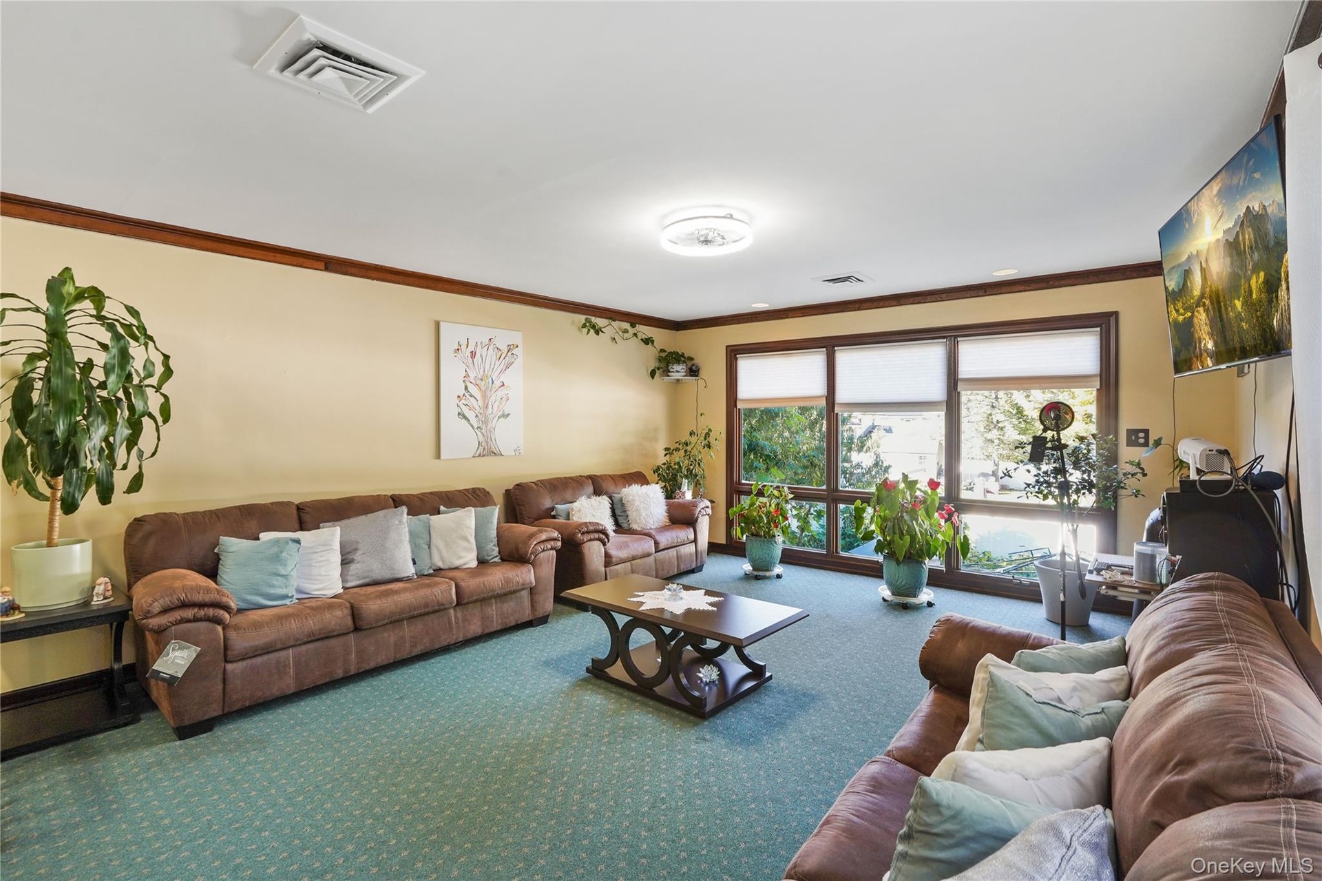 Formal family room, tons of natural light