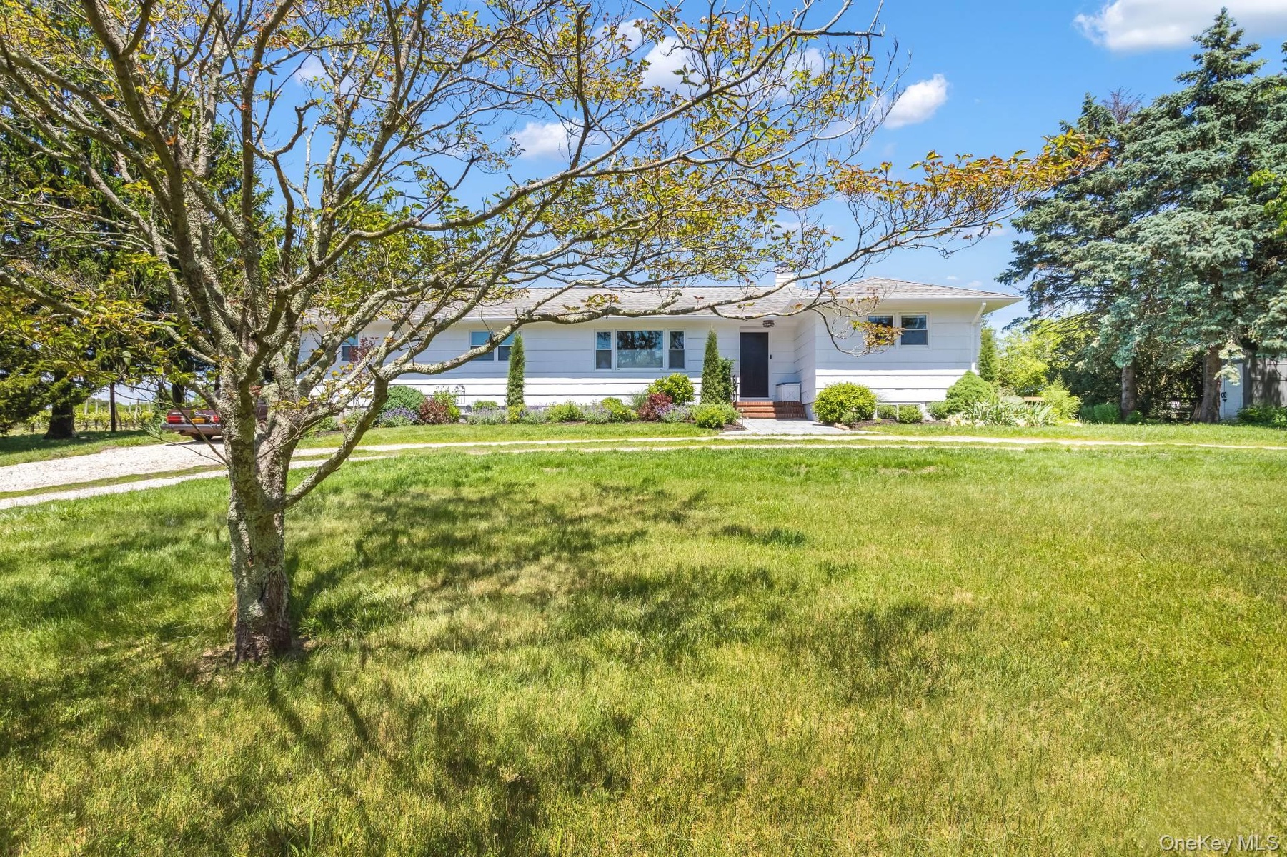 1100 Alvah's Lane