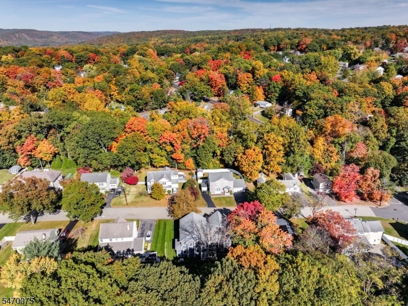 AERIAL VIEW OF STREET