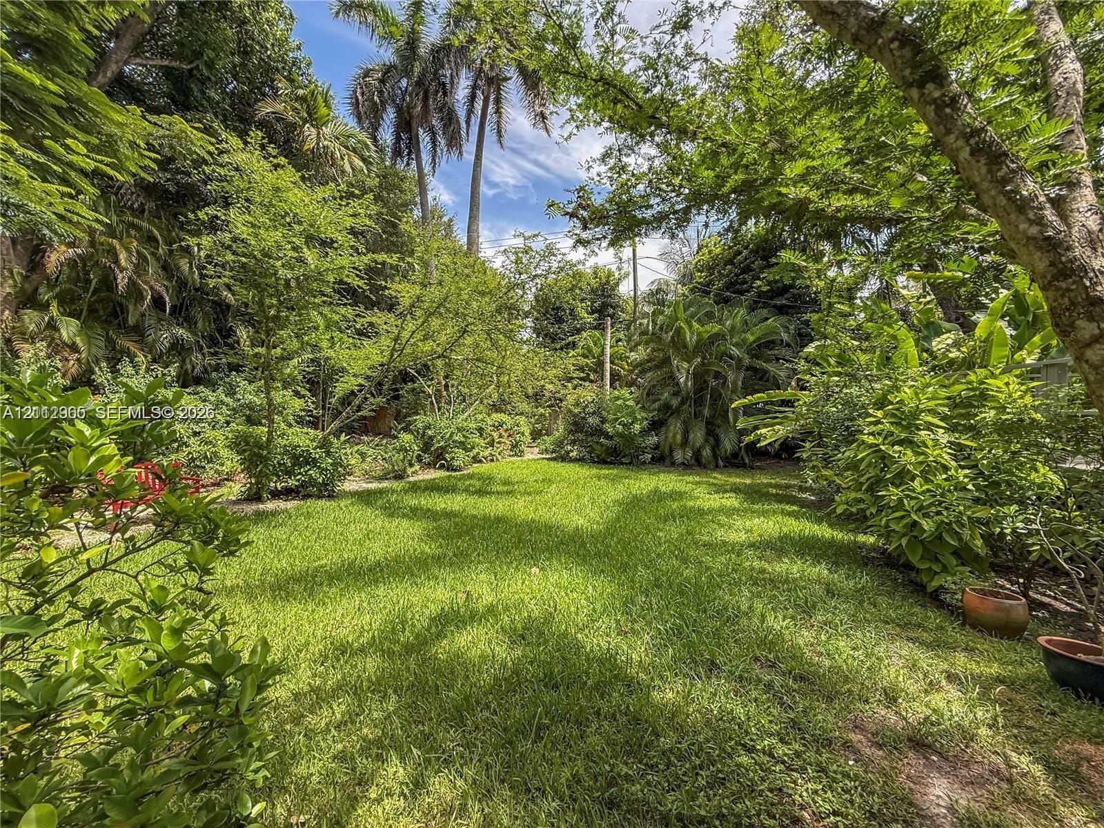 Expansive backyard featuring a lush grass lawn, diverse mature trees, and dense tropical landscaping