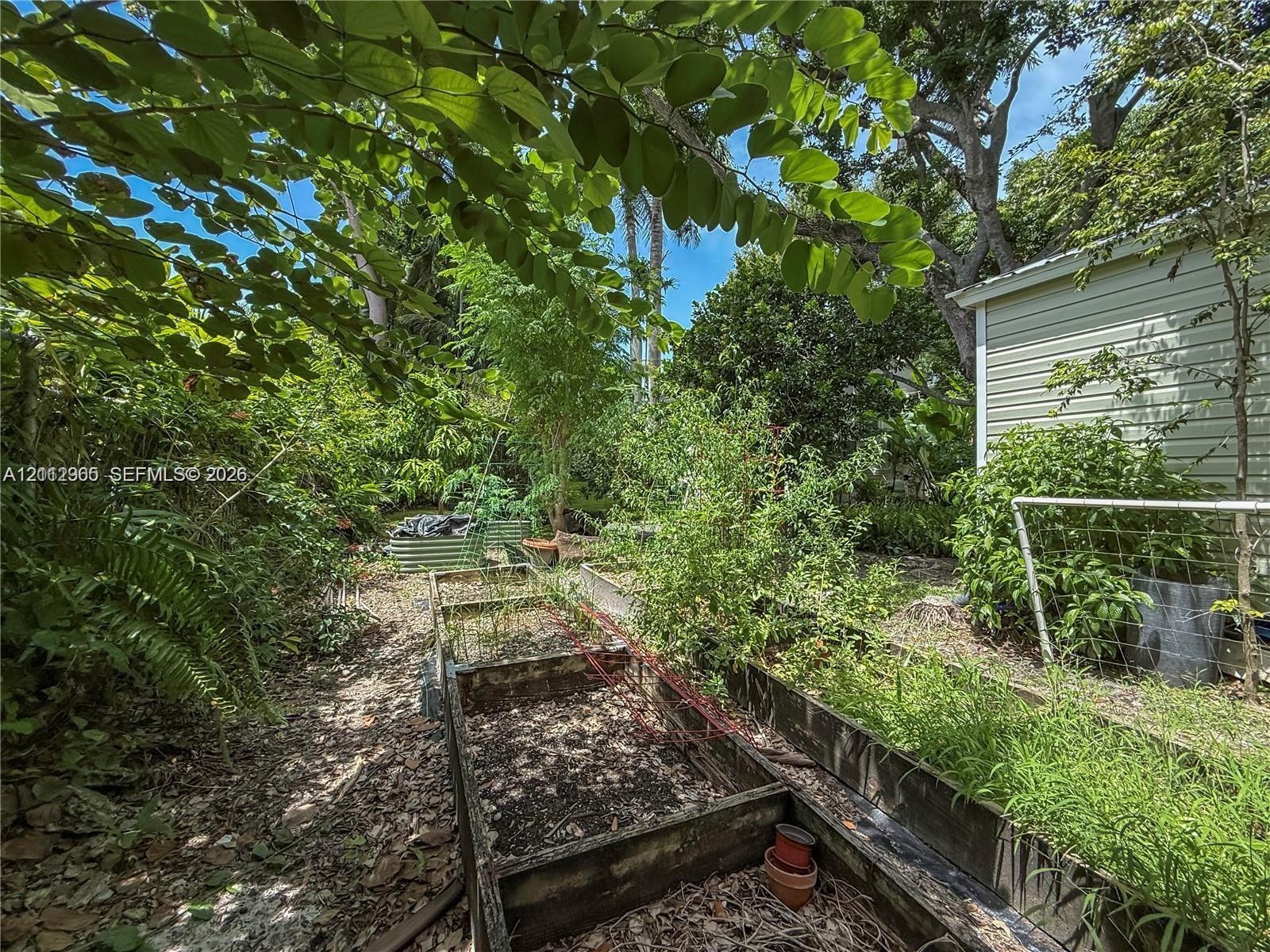 Outdoor area featuring wood-framed garden beds, natural landscape elements, mature trees, and vinyl siding