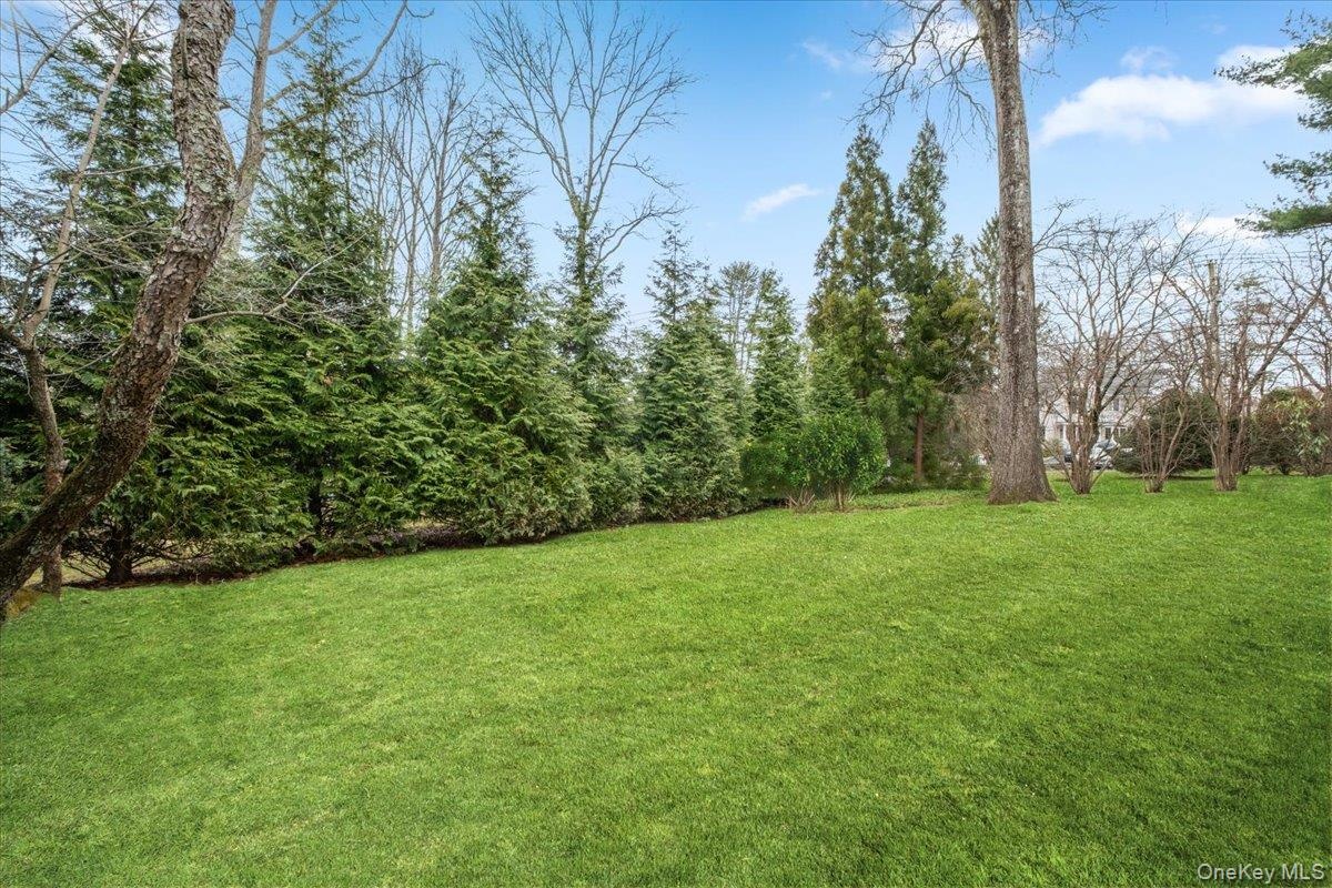 Lush greenery!