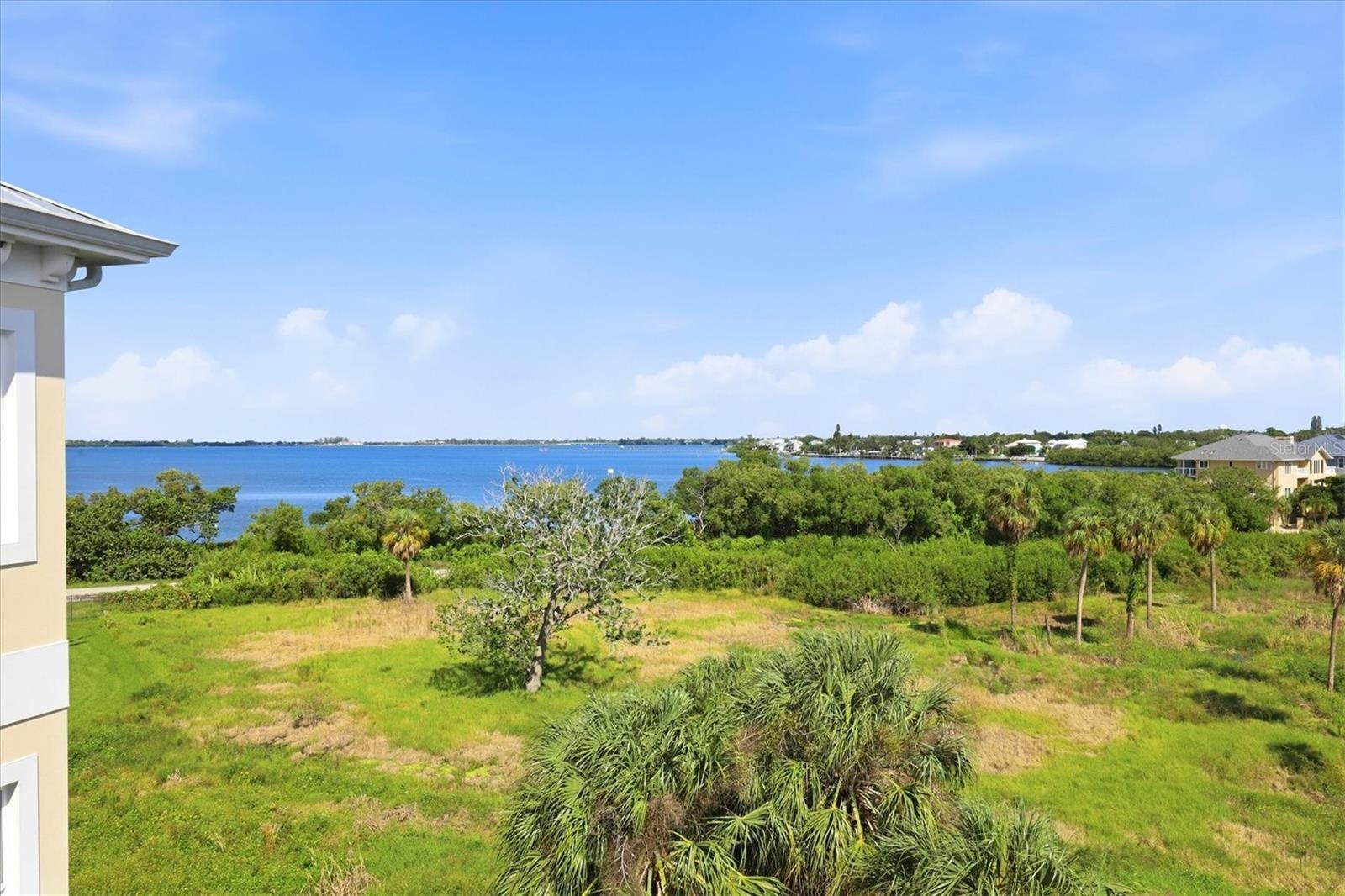 Peaceful preserve view