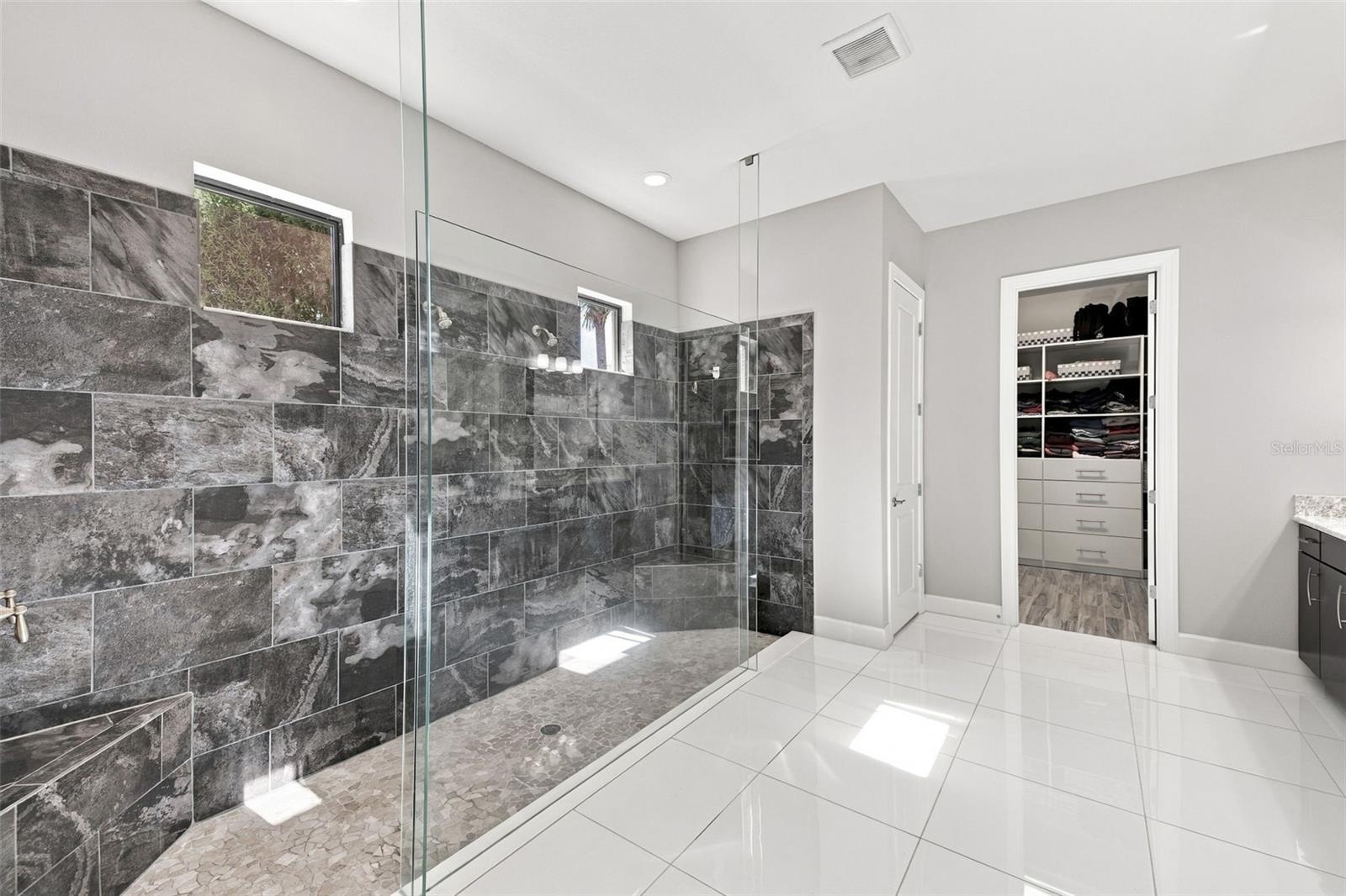 Primary Bathroom shower with dual showerheads