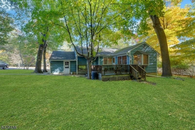 Beautiful yard