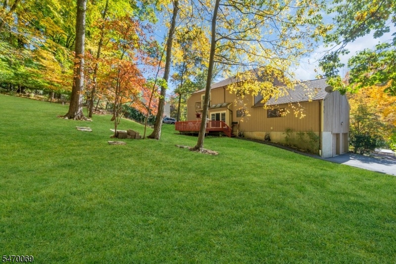 Tranquil Wooded Setting