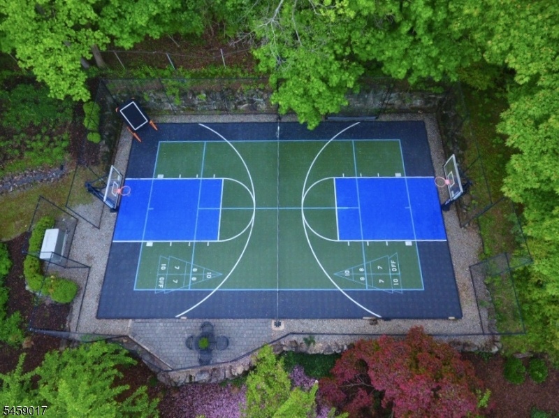 Sports Court
