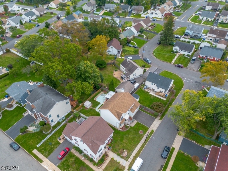 AERIAL
