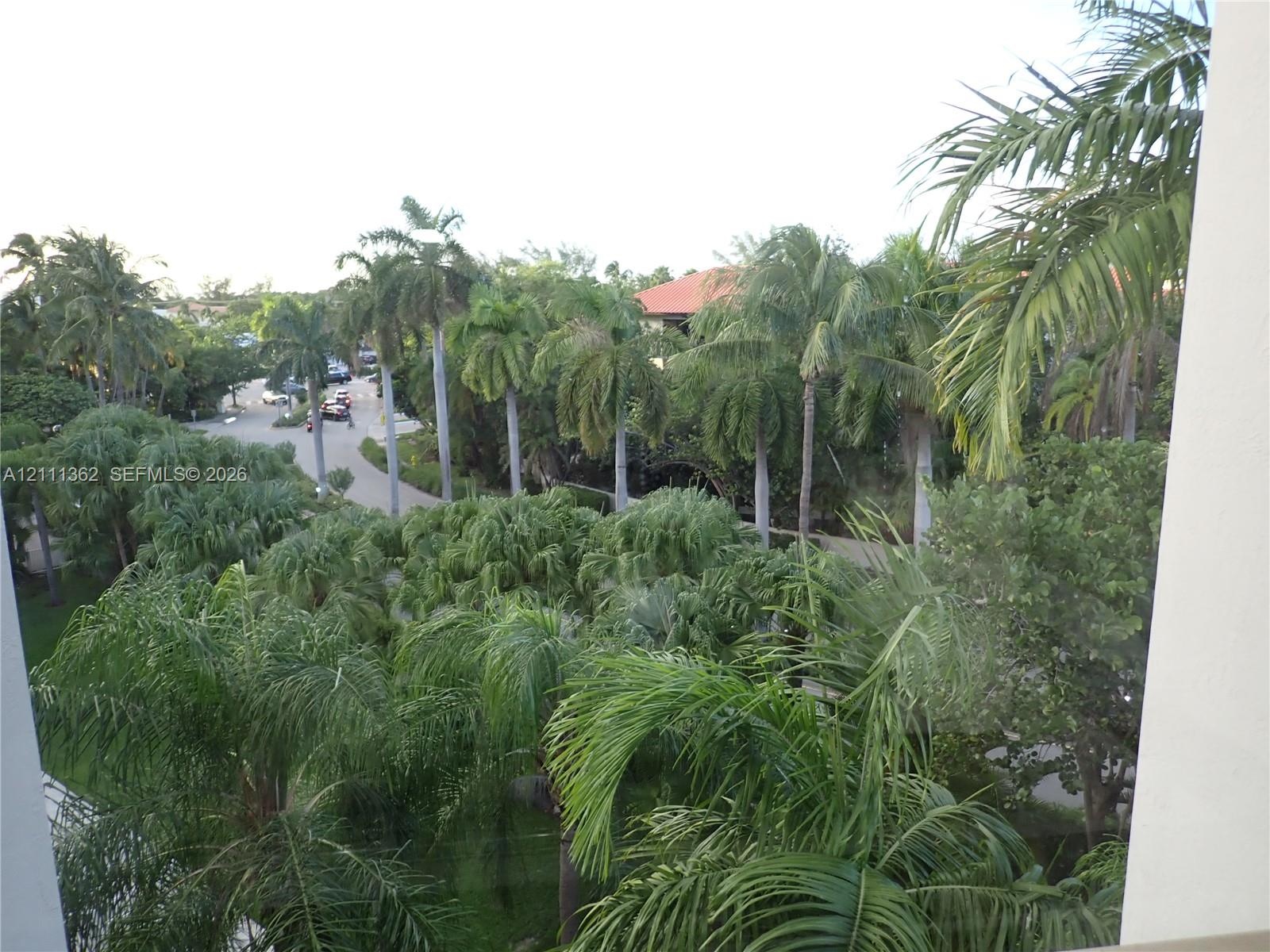 Expansive grounds featuring mature palm trees, winding paved pathways, and lush landscaping