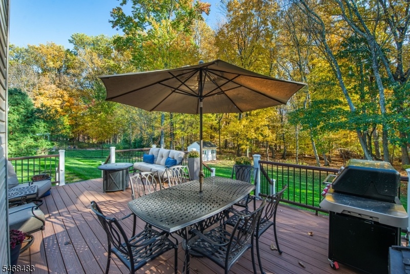 Backyard Paradise