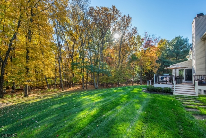 Beautiful Backyard