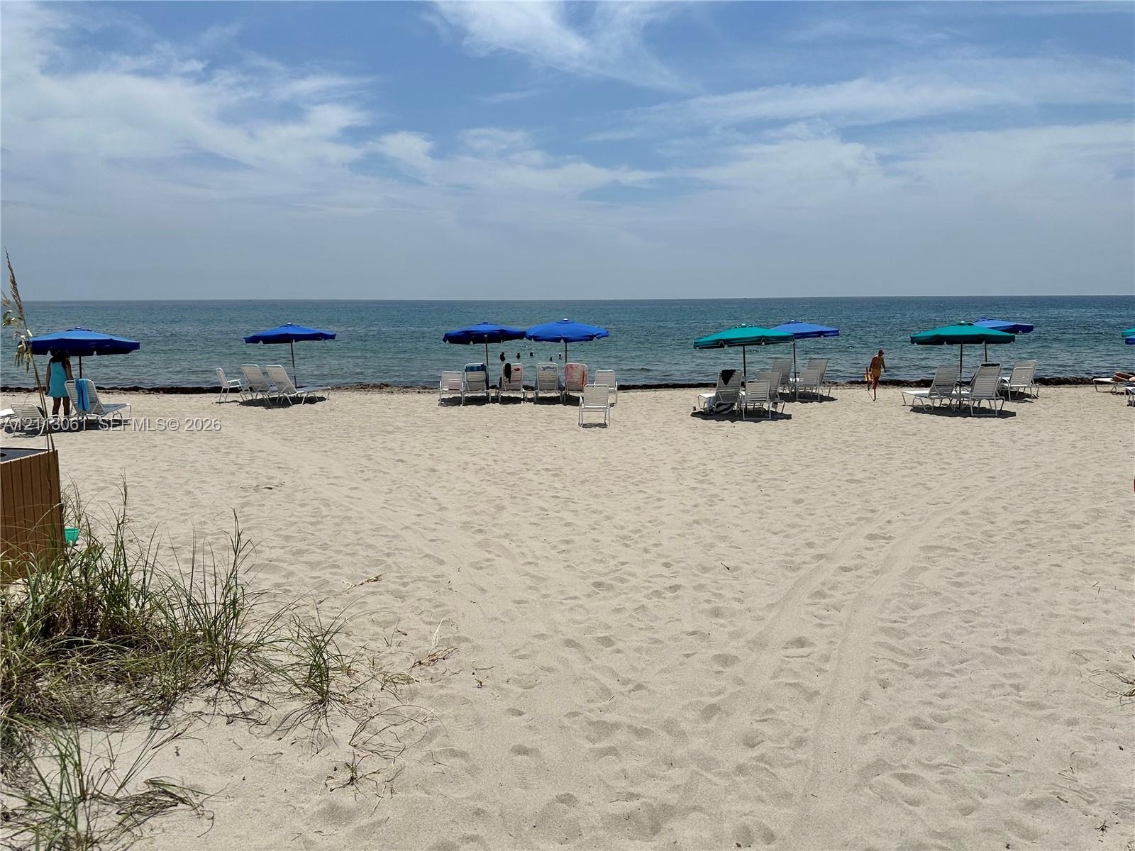 Sandy beach frontage featuring native dune grasses and direct access to the ocean