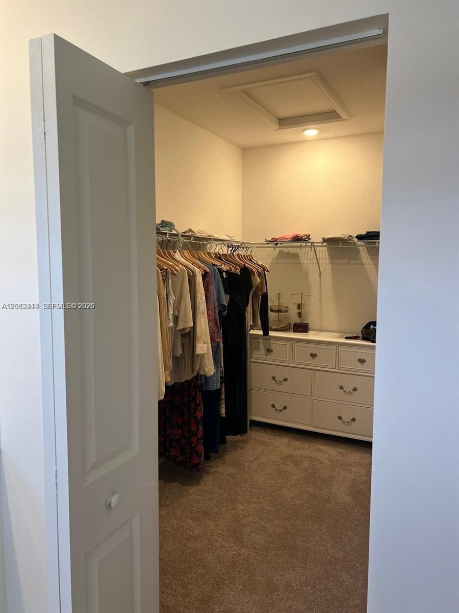 Walk-in closet featuring carpeted flooring, built-in wire shelving, and a white multi-drawer storage unit
