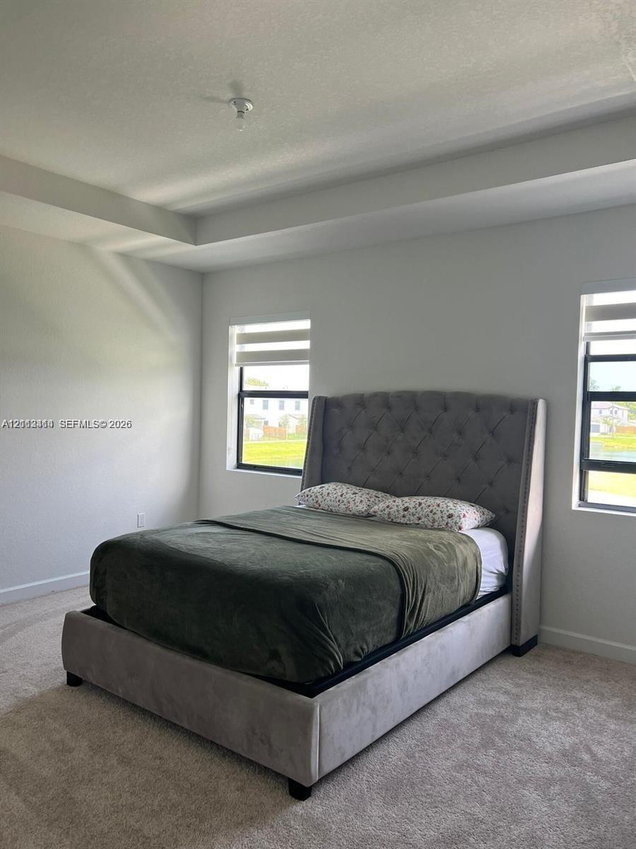 Tray ceiling, neutral carpeting, and multi-paned windows with black frames