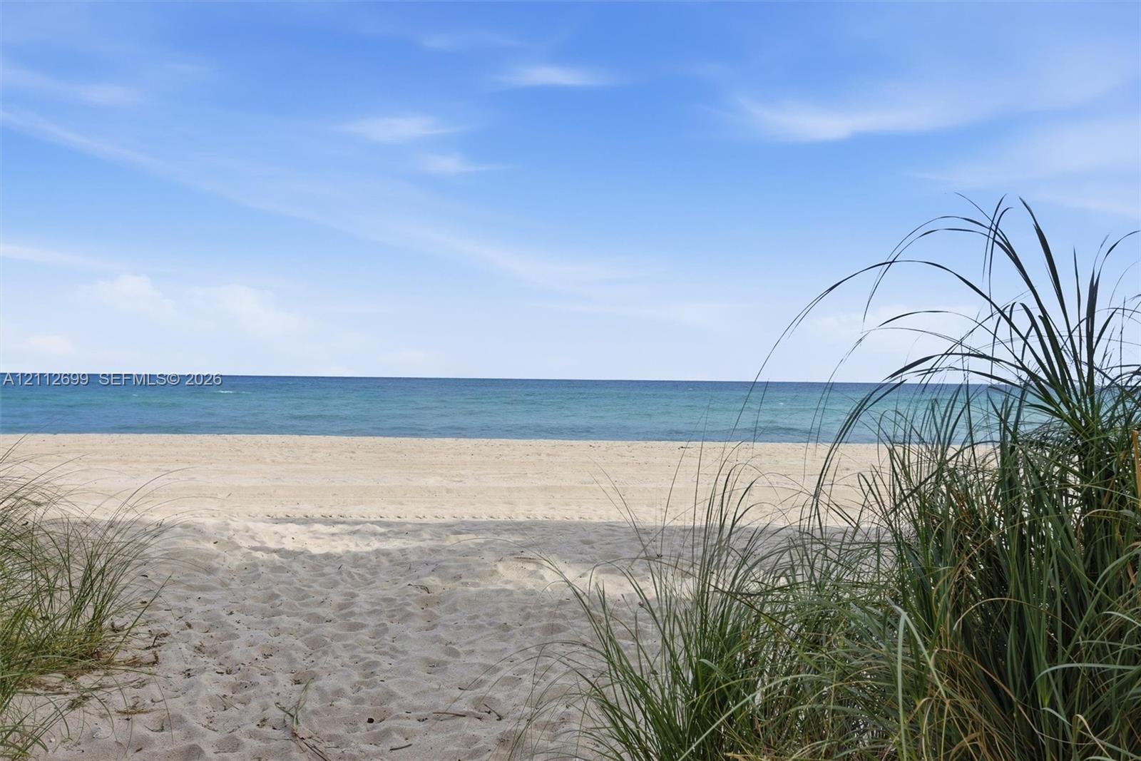 Sandy beachfront featuring native grasses and direct access to the ocean