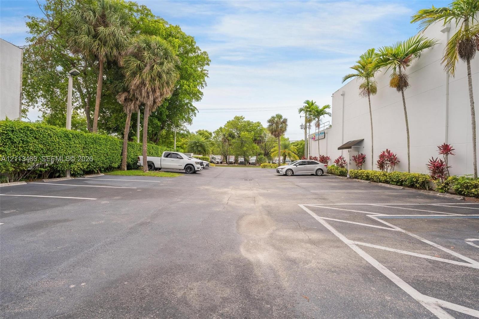 Asphalt parking area featuring marked spaces and mature palm tree landscaping