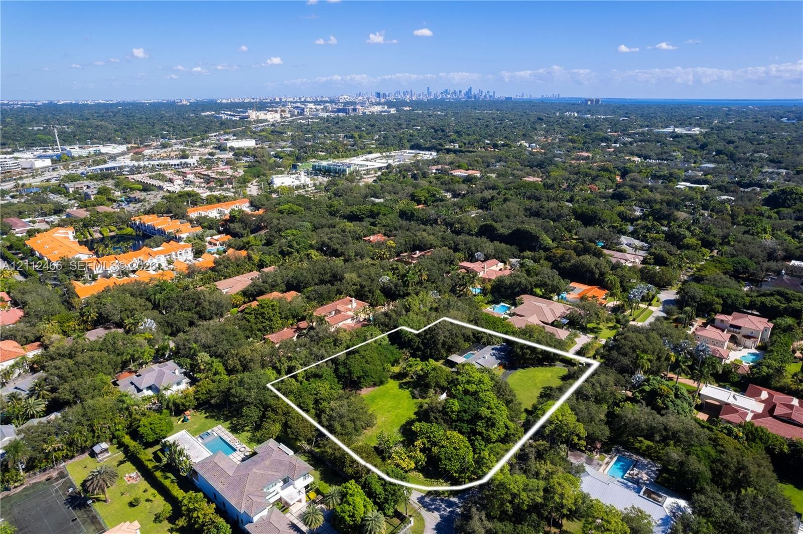 Aerial view of a sprawling lot featuring mature trees, expansive green space, and a backdrop of the urban skyline