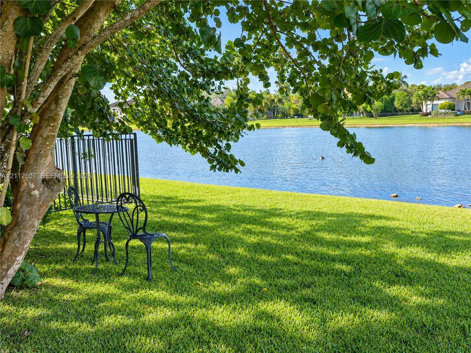 Waterfront backyard featuring a manicured lawn, mature shade trees, and black metal perimeter fencing