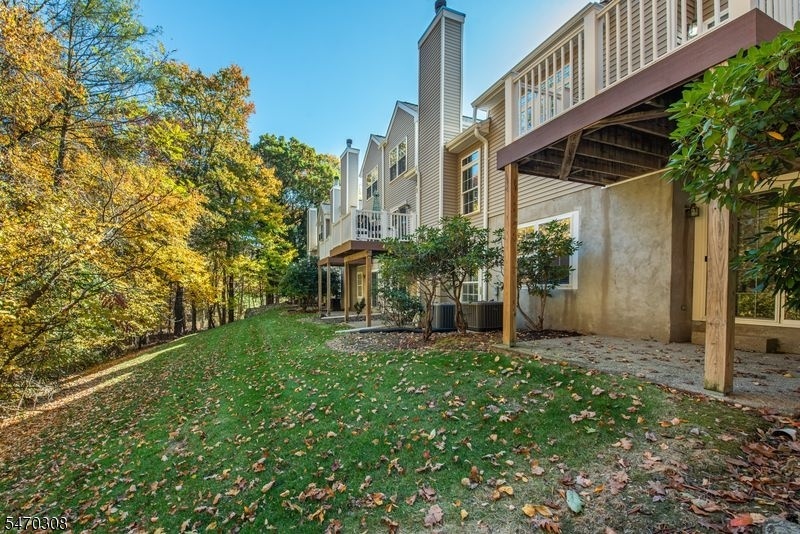 Rear view of the woods